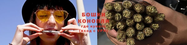 дживик Лагань