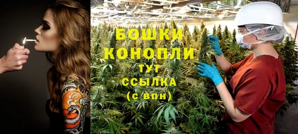 дживик Лагань