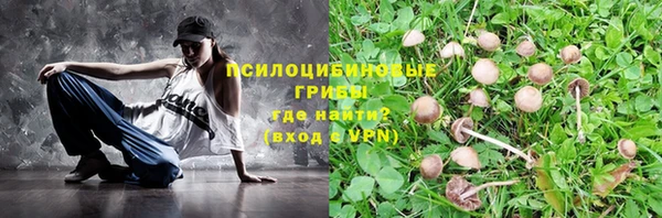 дживик Лагань