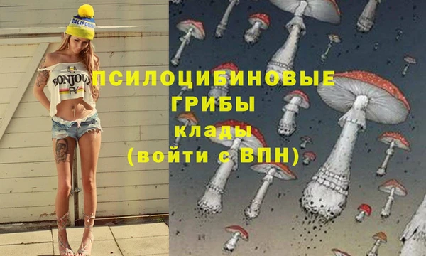 MDMA Premium VHQ Лабытнанги