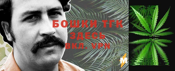 дживик Лагань