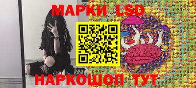 винт Дубна