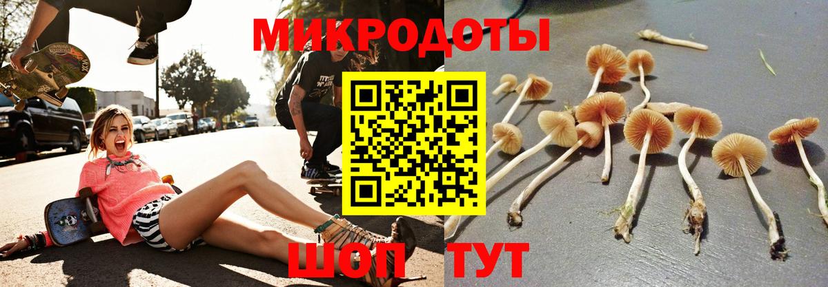 Галлюциногенные грибы Psilocybine cubensis  Вход с VPN  Холмск 