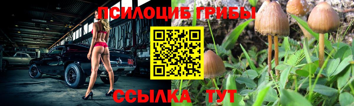 Галлюциногенные грибы MAGIC MUSHROOMS Холмск